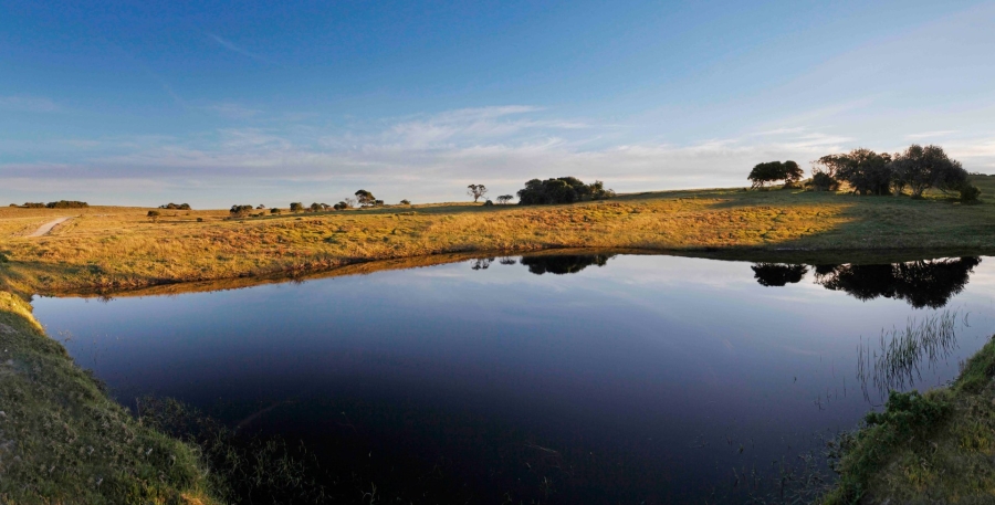 Commercial Property for Sale in Royalston Residential Estate and Wildlife Reserve Eastern Cape